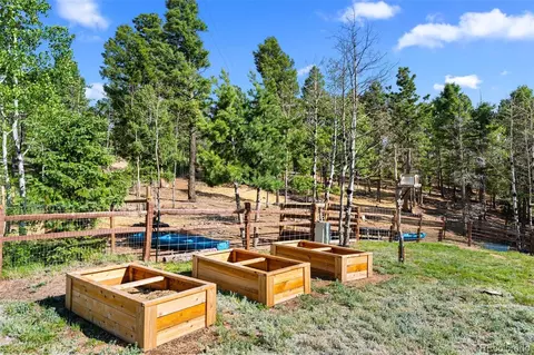 Exterior - 4269 Cedar Mountain Rd, Divide, CO 80814 photo 6 of 7