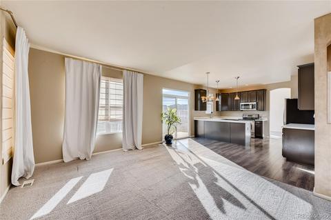 17276 E Trailmaster Dr, Parker, CO 80134 photo 15