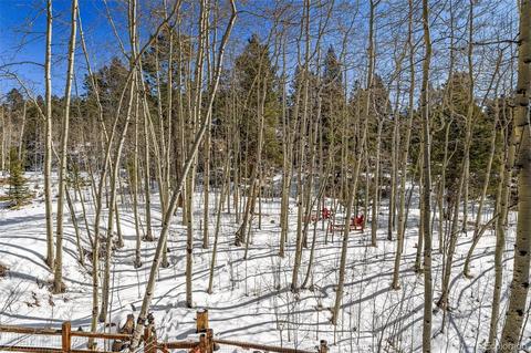 30549 Rand Rd, Conifer, CO 80433 photo 33