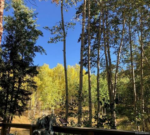 30549 Rand Rd, Conifer, CO 80433 photo 38