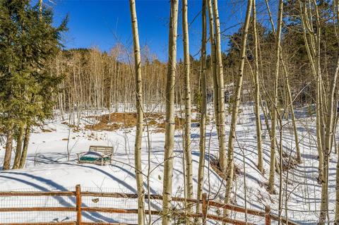 30549 Rand Rd, Conifer, CO 80433 photo 34