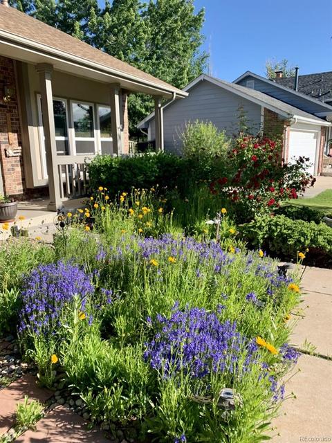 4401 Ceylon St, Denver, CO 80249 photo 3