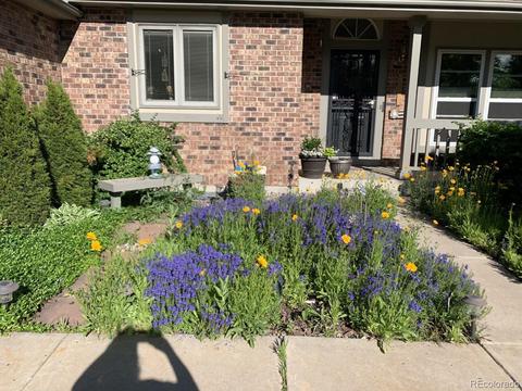4401 Ceylon St, Denver, CO 80249 photo 2