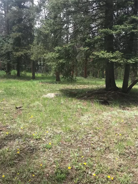 0 Shadow Mountain Dr, Conifer, CO 80433 photo 12
