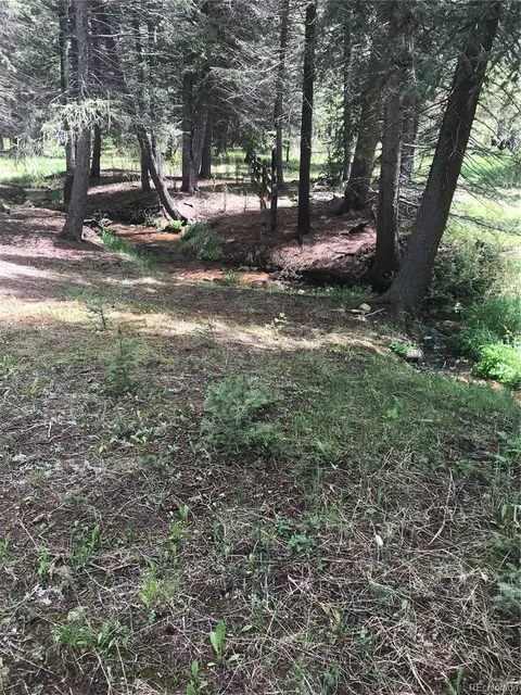 0 Shadow Mountain Dr, Conifer, CO 80433 photo 13