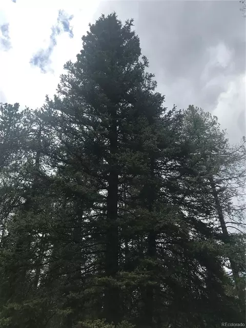 0 Shadow Mountain Dr, Conifer, CO 80433 photo 17