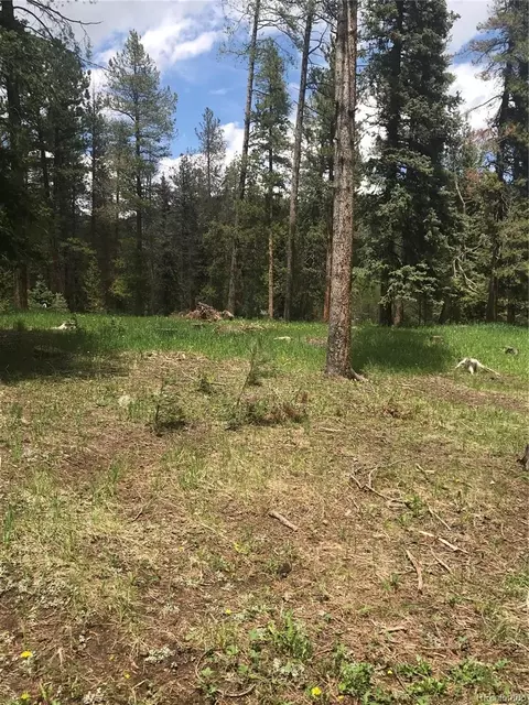 0 Shadow Mountain Dr, Conifer, CO 80433 photo 14