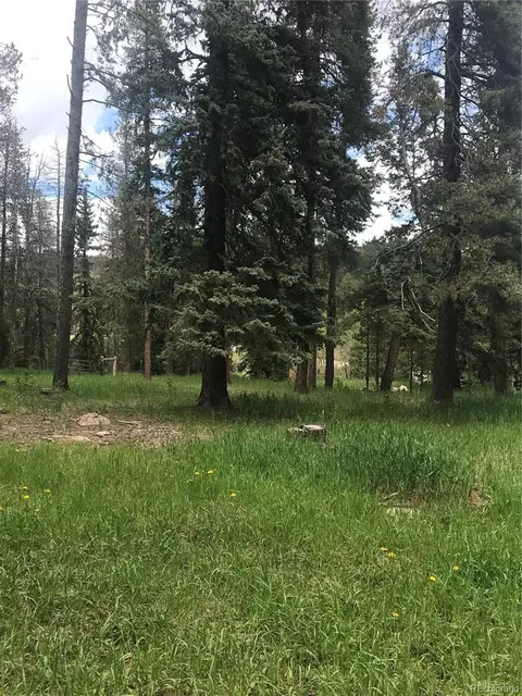 0 Shadow Mountain Dr, Conifer, CO 80433 photo 3