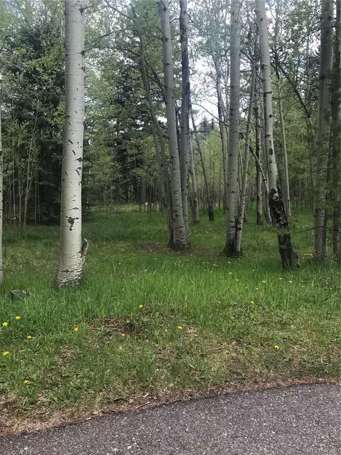0 Shadow Mountain Dr, Conifer, CO 80433 photo 10