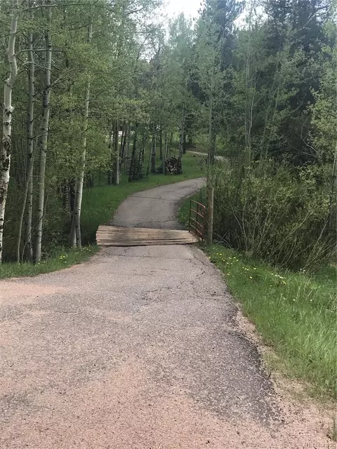 0 Shadow Mountain Dr, Conifer, CO 80433 photo 15