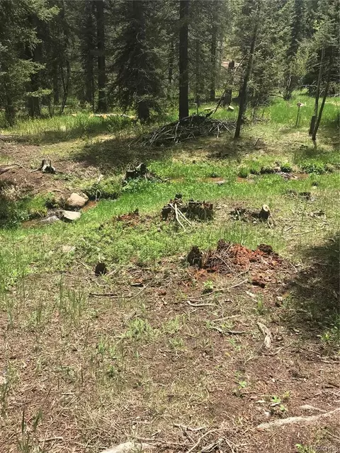 0 Shadow Mountain Dr, Conifer, CO 80433 photo 5