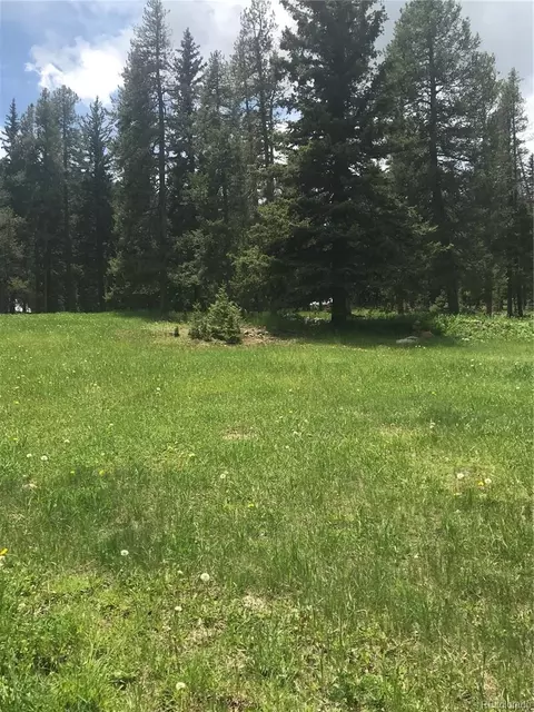 0 Shadow Mountain Dr, Conifer, CO 80433 photo 4