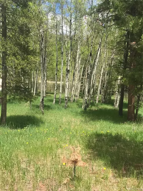 0 Shadow Mountain Dr, Conifer, CO 80433 photo 9