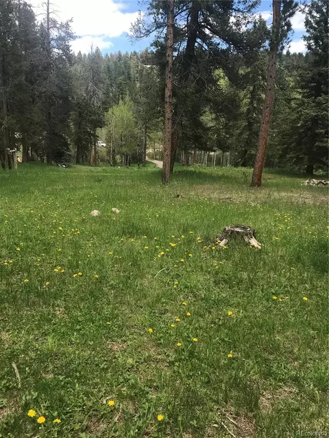 0 Shadow Mountain Dr, Conifer, CO 80433 photo 2