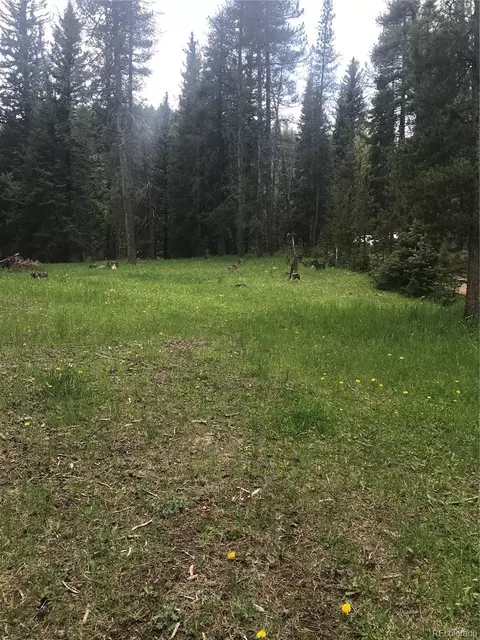 0 Shadow Mountain Dr, Conifer, CO 80433