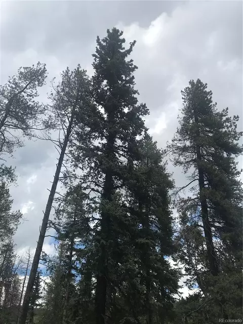 0 Shadow Mountain Dr, Conifer, CO 80433 photo 18