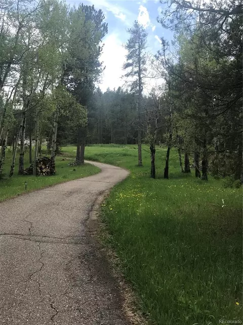 0 Shadow Mountain Dr, Conifer, CO 80433 photo 16