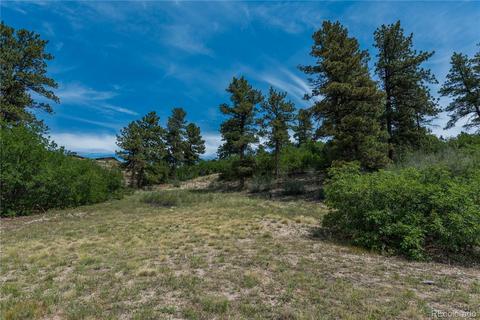 654 Ruby Trust Dr, Castle Rock, CO 80108 photo 13