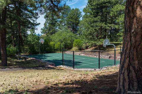654 Ruby Trust Dr, Castle Rock, CO 80108 photo 33