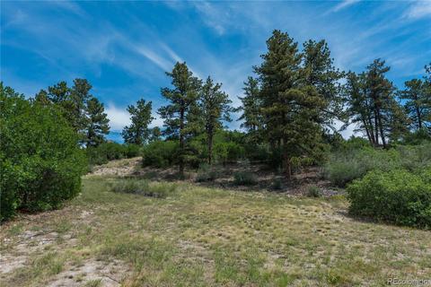 654 Ruby Trust Dr, Castle Rock, CO 80108 photo 12