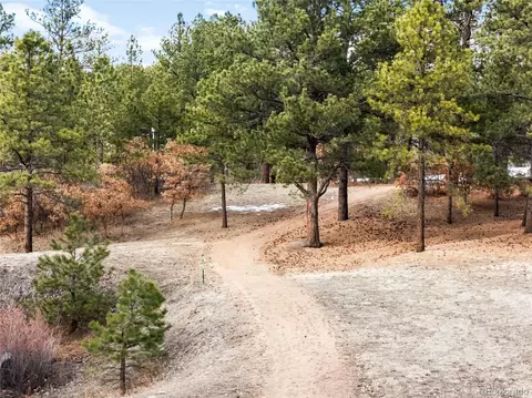 19185 Shadowood Dr, Monument, CO 80132 photo 42