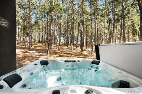 19185 Shadowood Dr, Monument, CO 80132 photo 31