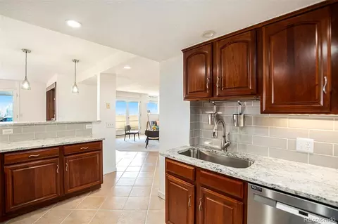1029 E 8th Ave #1302, Denver, CO 80218 photo 3