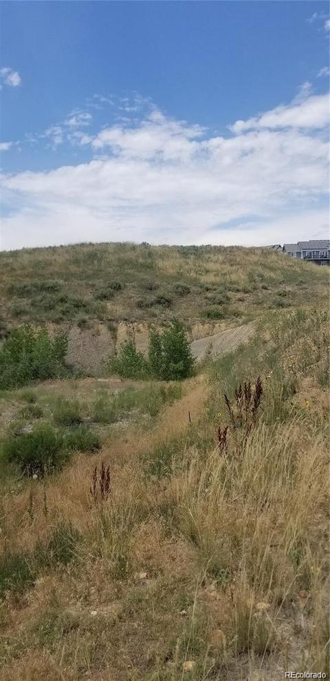 10000 E 138th Pl, Brighton, CO 80602 photo 8