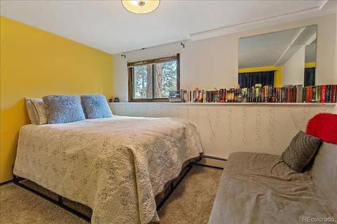 28209 Pine Dr, Evergreen, CO 80439 photo 27