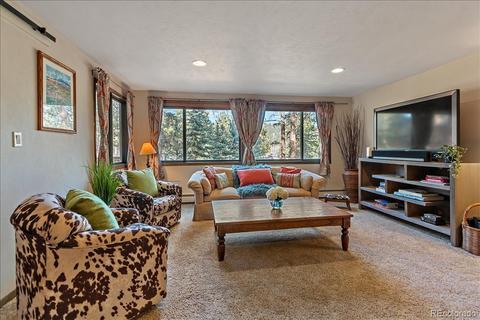 28209 Pine Dr, Evergreen, CO 80439 photo 32