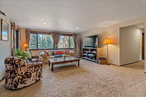 28209 Pine Dr, Evergreen, CO 80439 photo 33