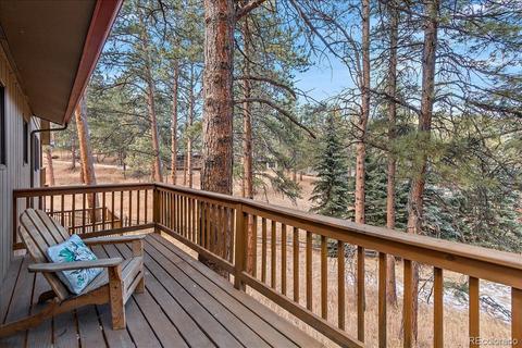 28209 Pine Dr, Evergreen, CO 80439 photo 23