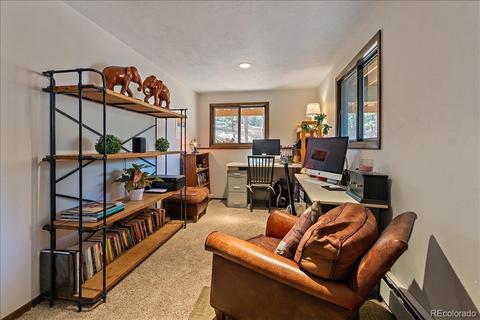 28209 Pine Dr, Evergreen, CO 80439 photo 30