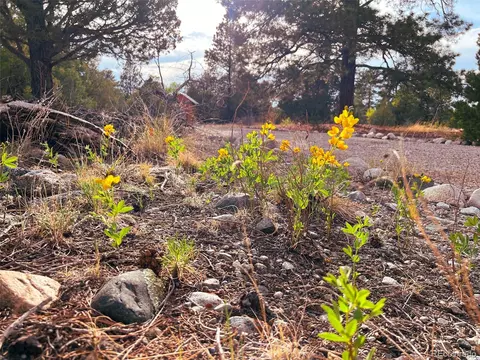 Other - 33 Big Bear Rd, Mosca, CO 81146 photo 10 of 21