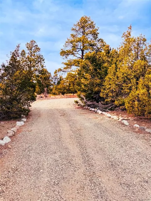 Exterior - 33 Big Bear Rd, Mosca, CO 81146 photo 4 of 5