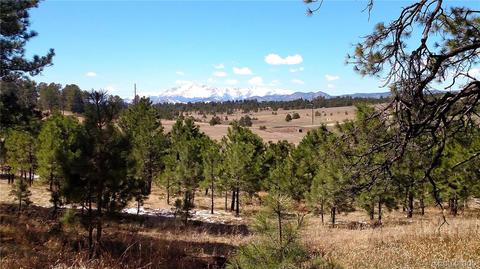 2020 Millwright Ct, Monument, CO 80132 photo 5