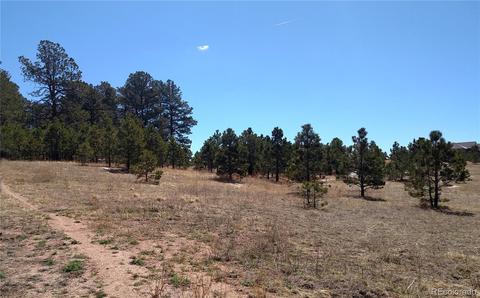 2020 Millwright Ct, Monument, CO 80132 photo 12