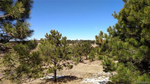 2020 Millwright Ct, Monument, CO 80132 photo 13