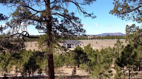 2020 Millwright Ct, Monument, CO 80132 photo 10