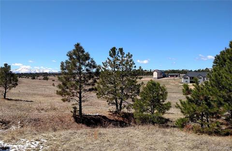 2020 Millwright Ct, Monument, CO 80132 photo 6