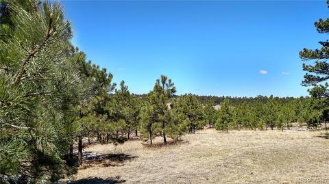 2020 Millwright Ct, Monument, CO 80132 photo 11