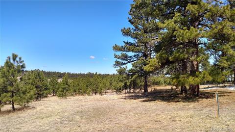 2020 Millwright Ct, Monument, CO 80132 photo 9