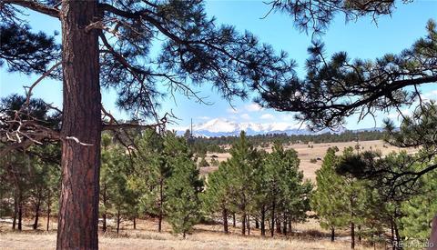 2020 Millwright Ct, Monument, CO 80132 photo 1