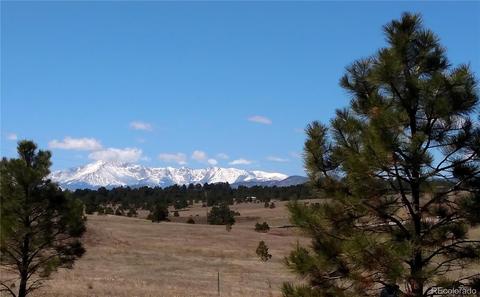 2020 Millwright Ct, Monument, CO 80132 photo 7