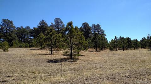 2020 Millwright Ct, Monument, CO 80132 photo 15