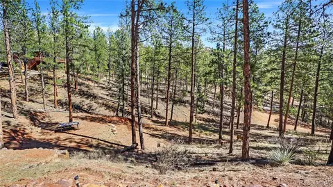 Other - 16536 Ouray Rd W, Pine, CO 80470 photo 19 of 21