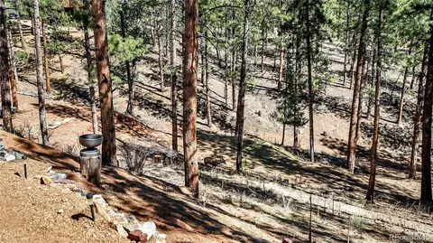 Exterior - 16536 Ouray Rd W, Pine, CO 80470 photo 4 of 6