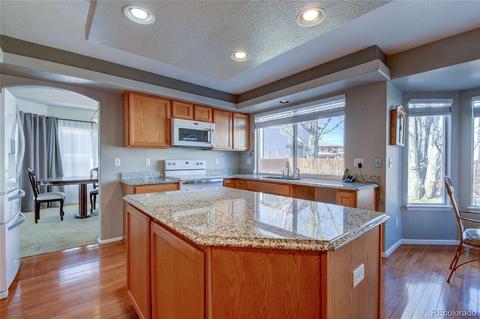 20167 E 42nd Pl, Denver, CO 80249 photo 14