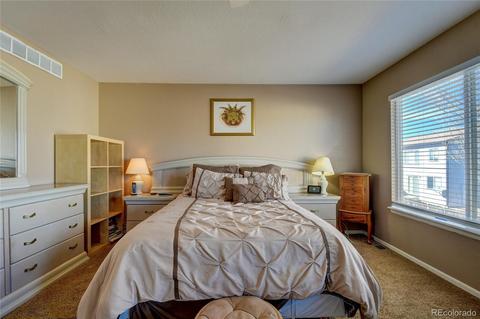20167 E 42nd Pl, Denver, CO 80249 photo 24