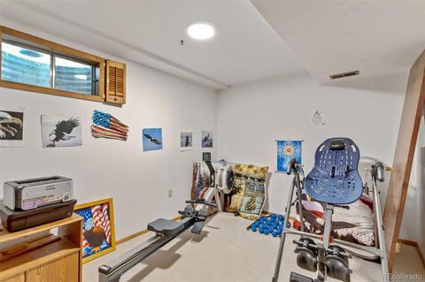 4434 S Devinney Ct, Morrison, CO 80465 photo 28